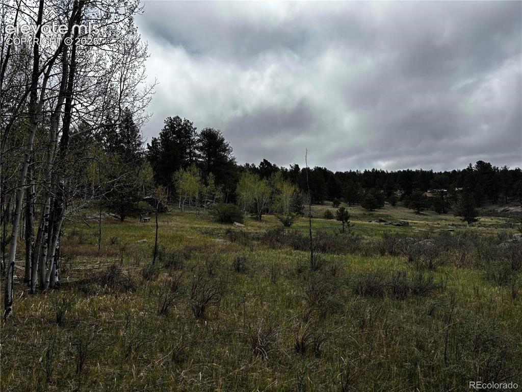 Image 9 of 9: Other