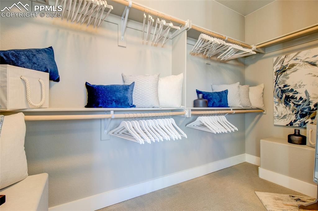 Image 17 of 30: Spacious closet with carpet floors