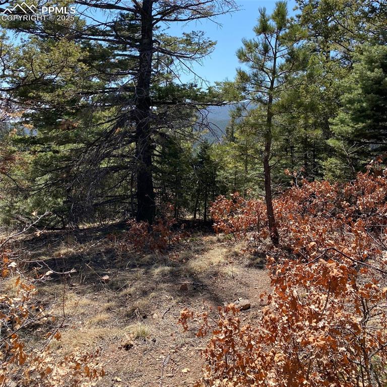 Image 10 of 29: Other