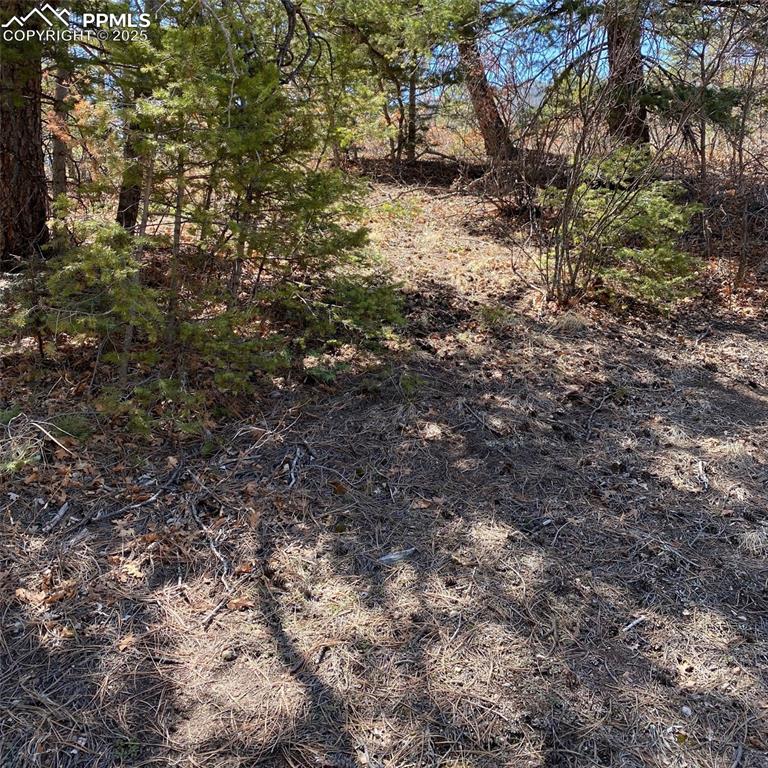Image 11 of 29: Other