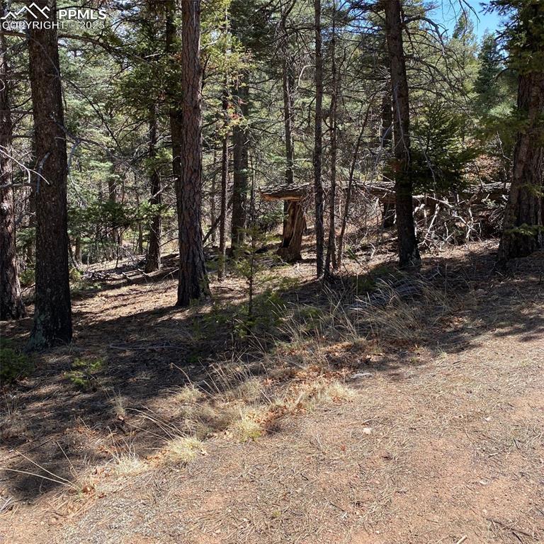 Image 12 of 29: Other