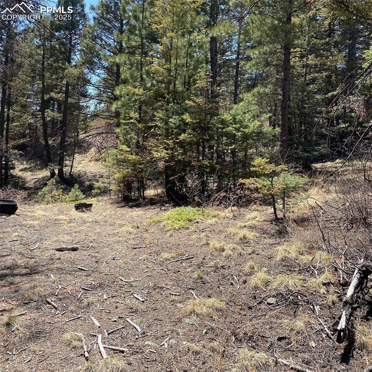 Image 14 of 29: Other