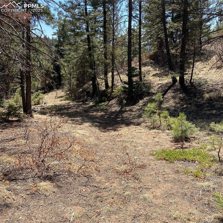 Image 15 of 29: Other