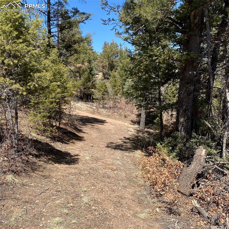 Image 16 of 29: Other
