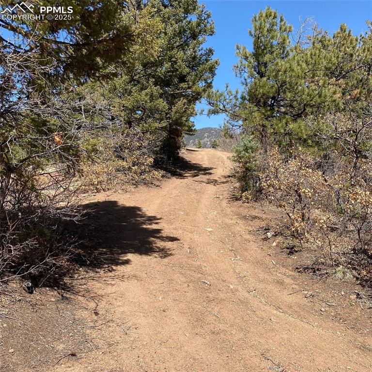 Image 18 of 29: Lot