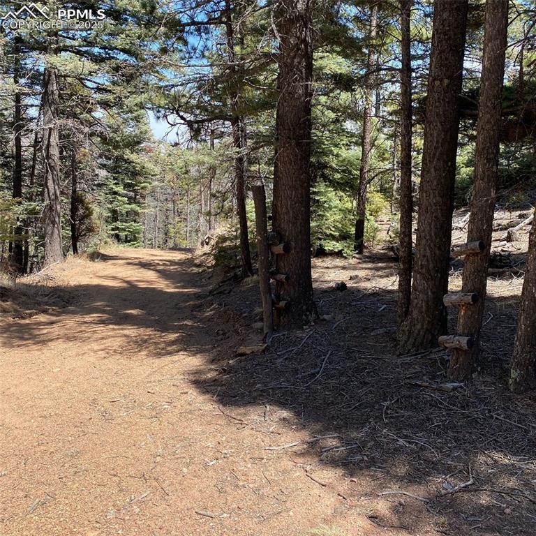 Image 19 of 29: Lot