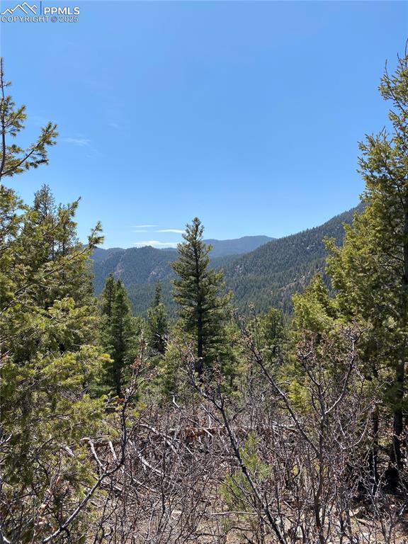 Image 26 of 29: View