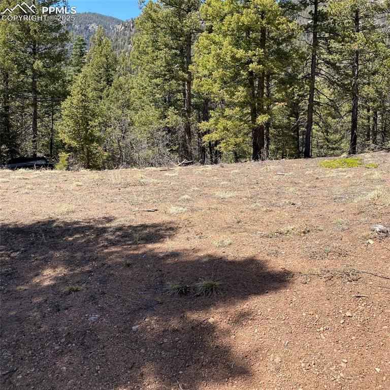 Image 4 of 29: Other
