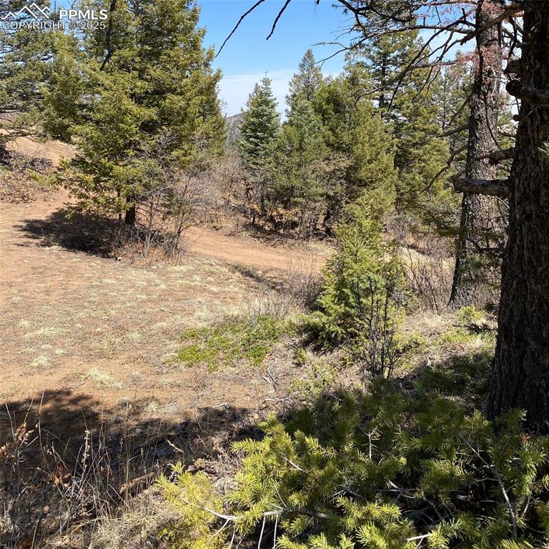 Image 9 of 29: Other