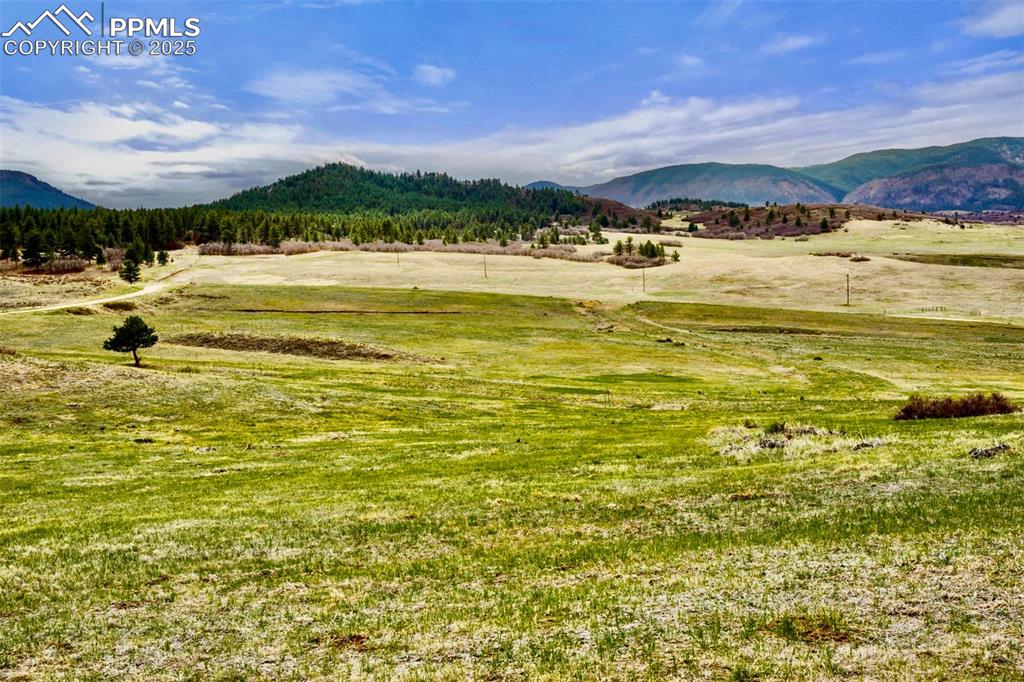 Image 8 of 15: View