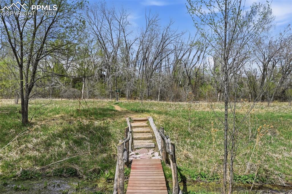 Image 38 of 44: Yard