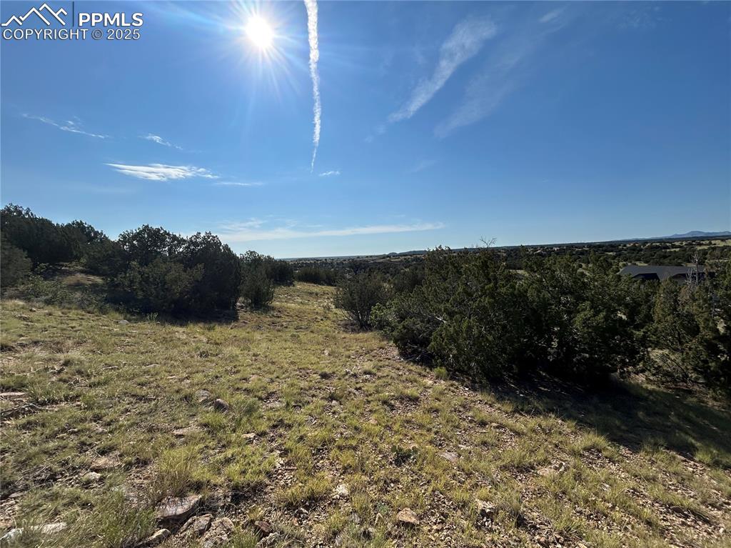 Image 8 of 10: Other