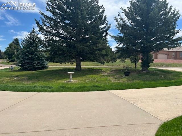 Image 37 of 42: Mature trees at the property