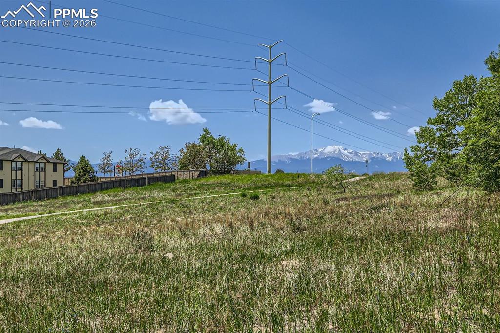 Image 27 of 32: Yard