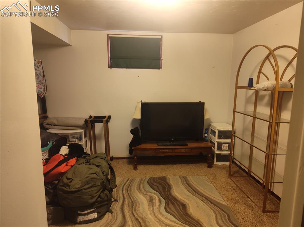 Image 32 of 39: bedroom in the basement