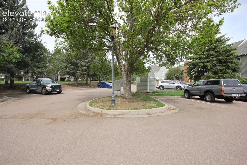 Image 31 of 33: Subdivision 