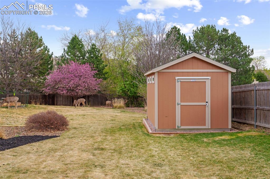 Image 39 of 48: No Description Available