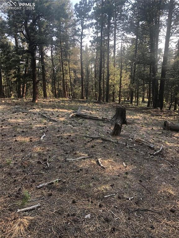 Image 2 of 8: Map 469 Echo