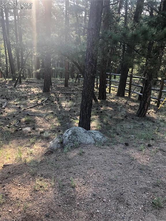 Image 4 of 8: Map 511 ECHO