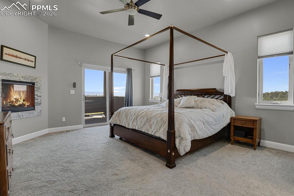 Image 20 of 43: primary