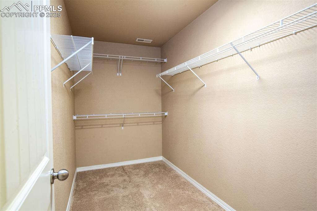 Image 29 of 33: Spacious closet featuring light colored carpet