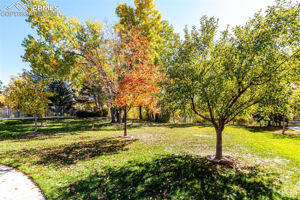 Image 31 of 37: Community