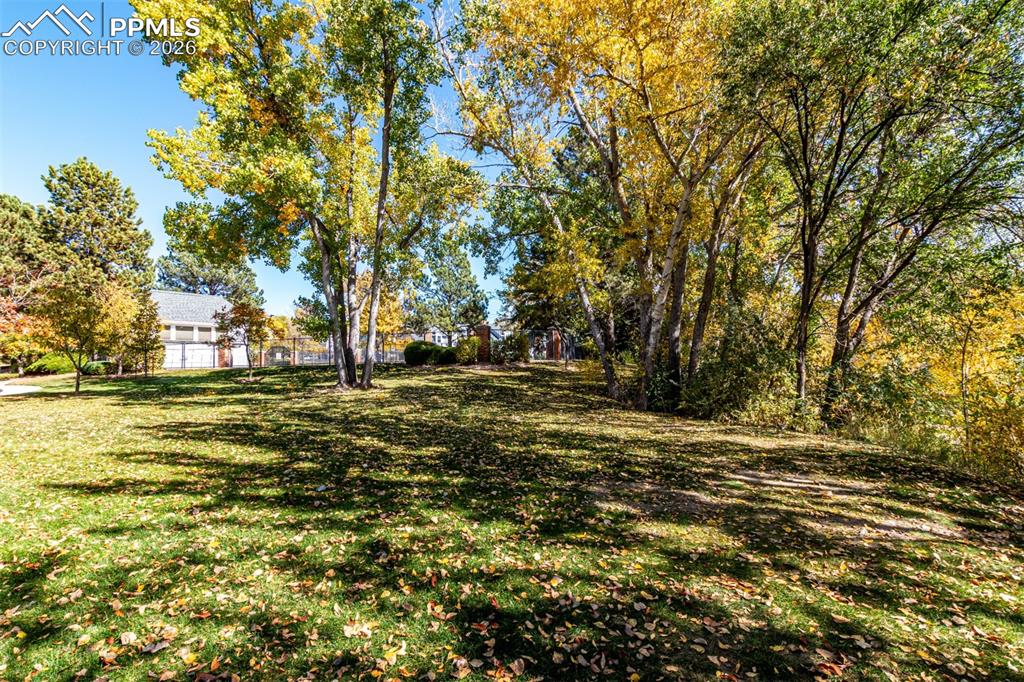 Image 32 of 37: Yard