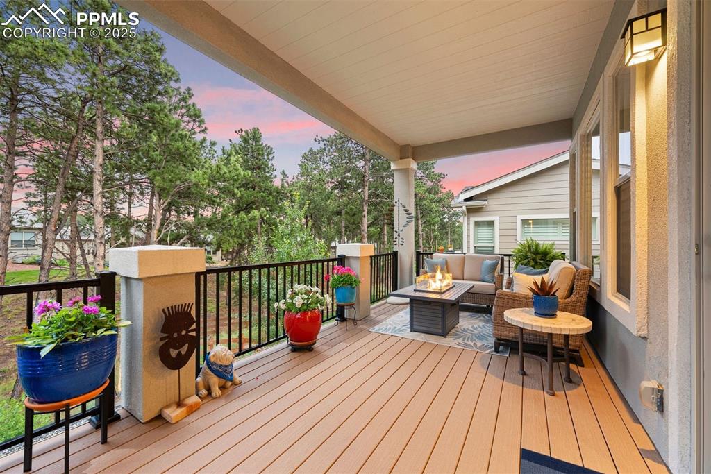 Image 29 of 42: Deck