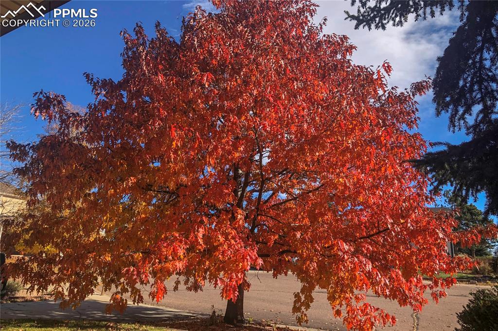 Image 38 of 39: Other