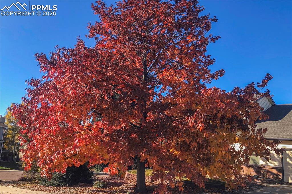 Image 5 of 39: Other