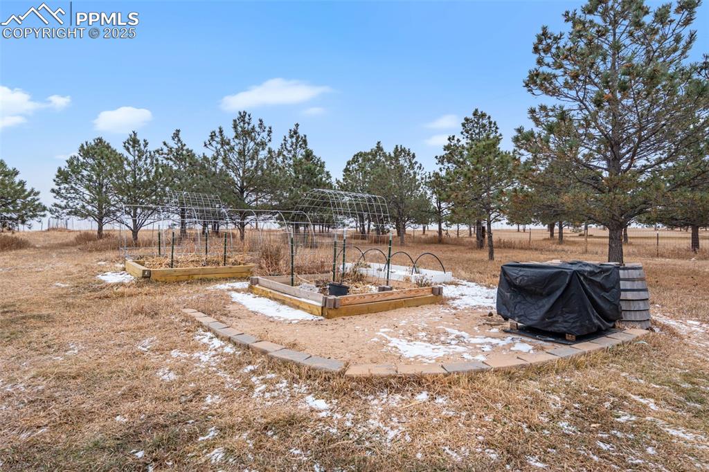 Image 43 of 43: Yard