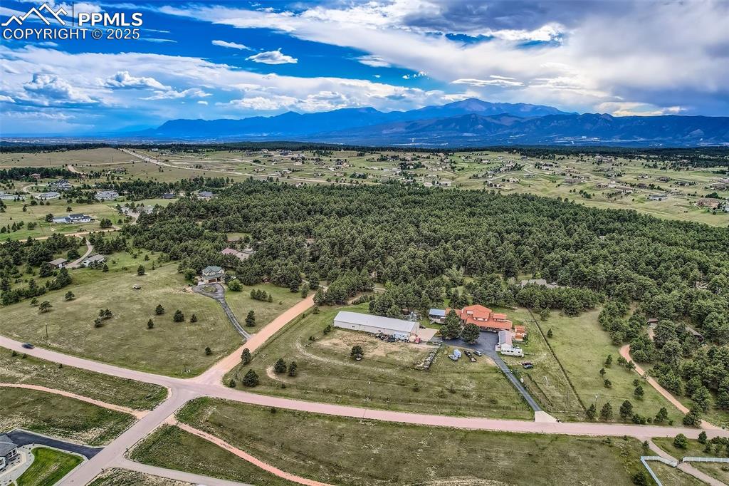 Image 38 of 41: Bird