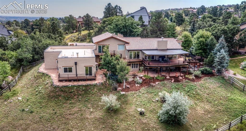 Image 44 of 50: Bird