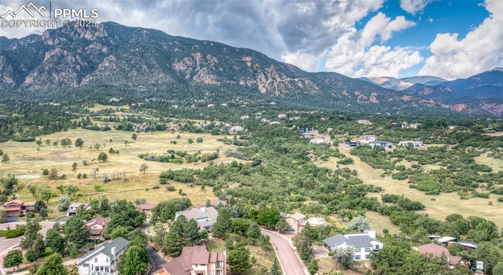 Image 47 of 50: Bird