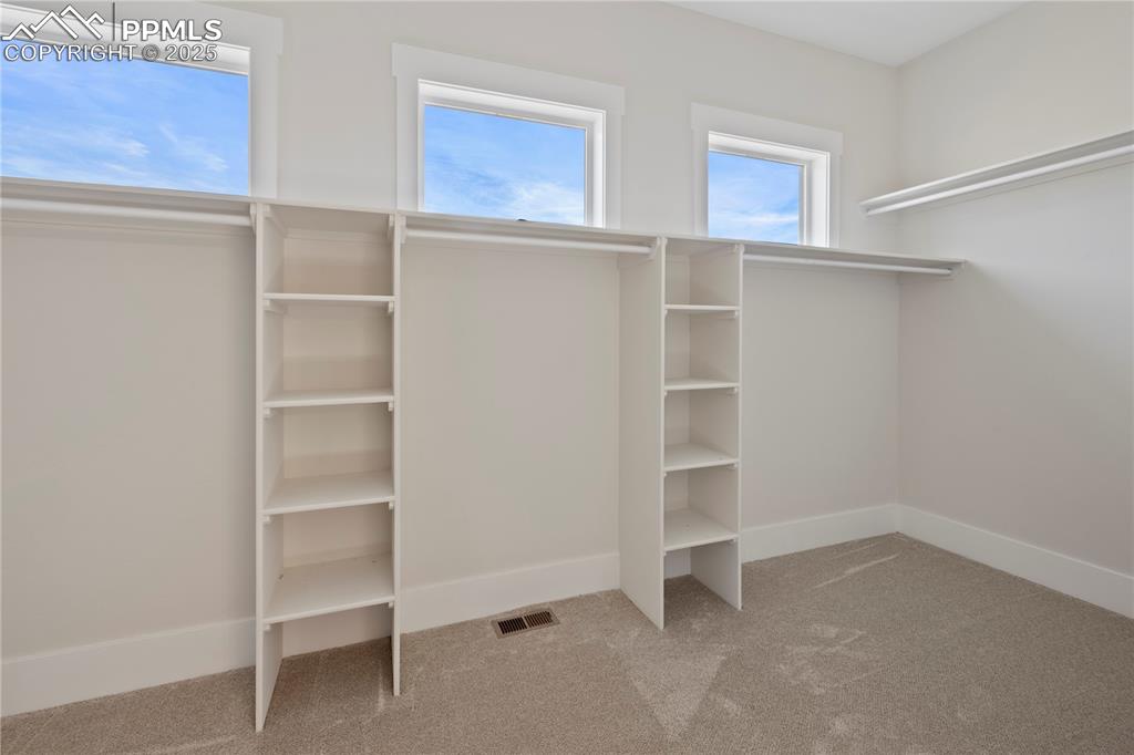 Image 38 of 47: Walk in closet featuring carpet and visible vents