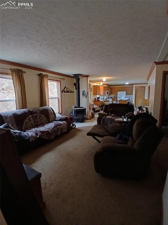 Image 17 of 26: Living Room