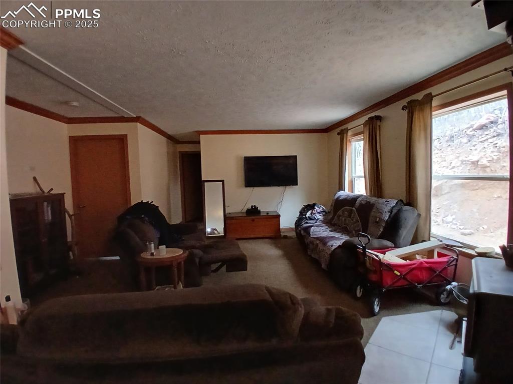 Image 18 of 26: Living Room