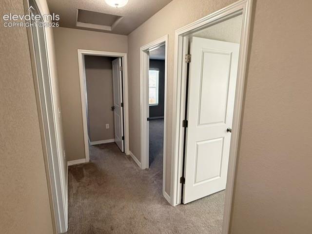 Image 25 of 42: Carpeted hallway with neutral wall tones, white trim, and panel doors