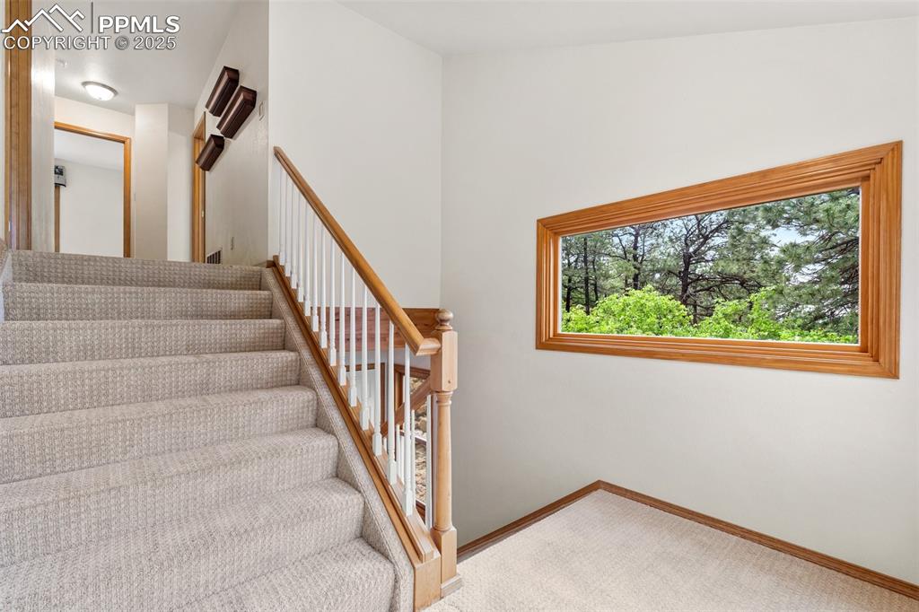 Image 19 of 48: Stairs with carpet and baseboards