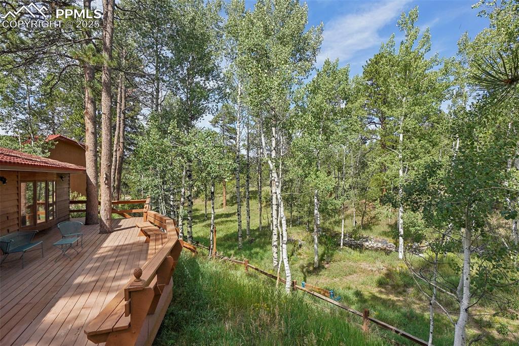 Image 5 of 49: back deck 