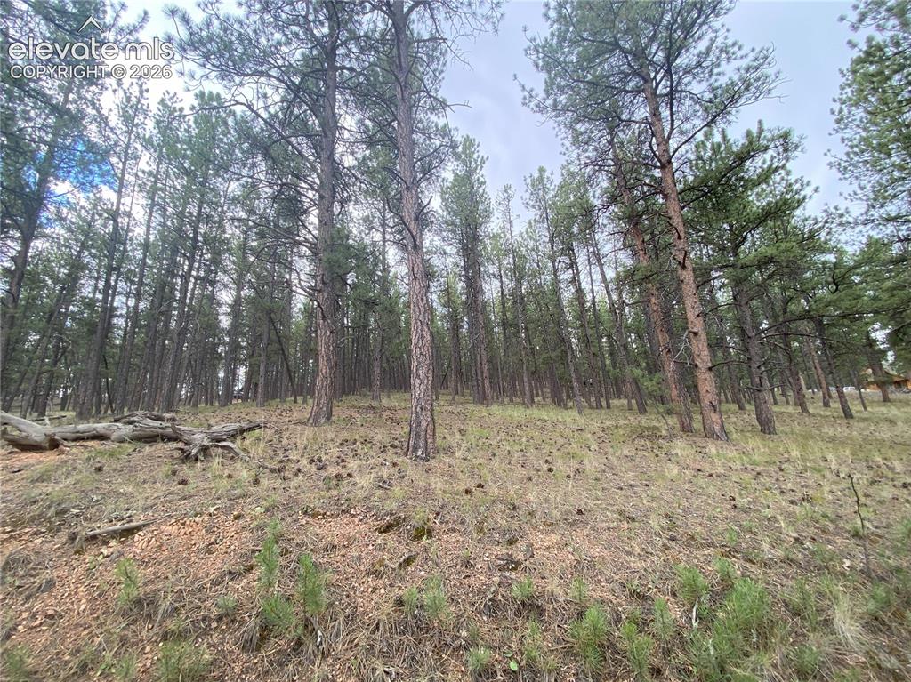 Image 1 of 15: Other