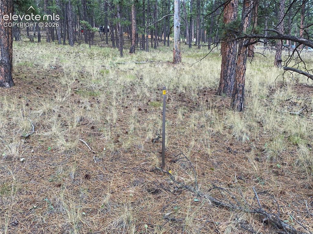 Image 2 of 15: Other