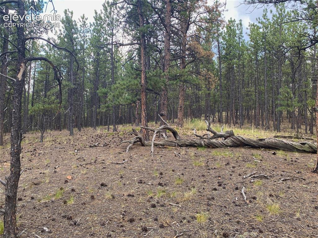 Image 6 of 15: Other