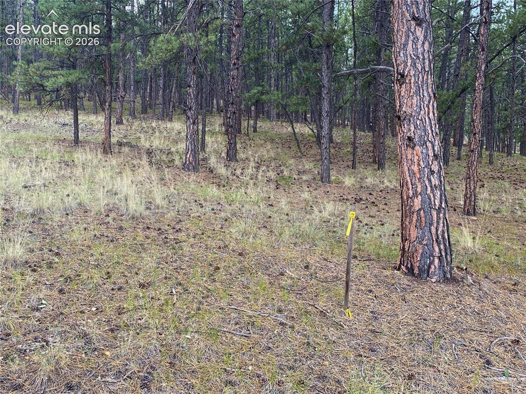 Image 8 of 15: Other