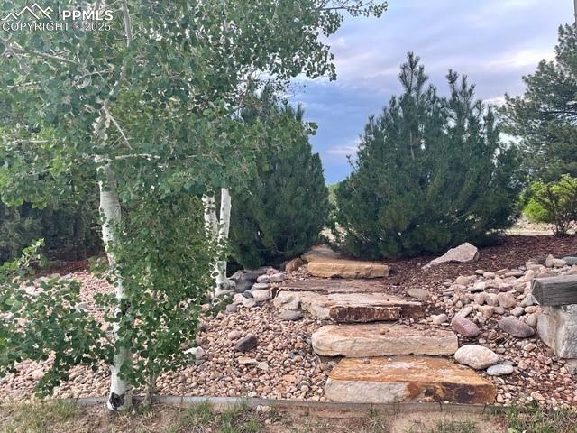 Image 8 of 50: Beautifully landscaped