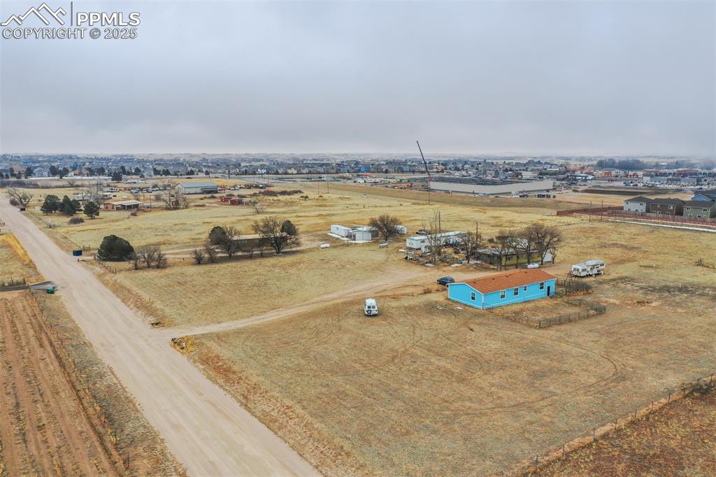 Image 12 of 20: Bird