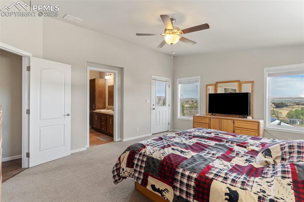 Image 18 of 50: Bedroom with light carpet, baseboards, multiple windows, and visible vents