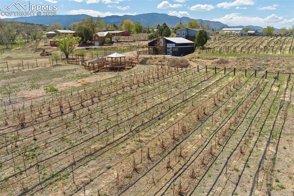 Image 37 of 50: View of yard featuring an outdoor structure, an exterior structure, a rural