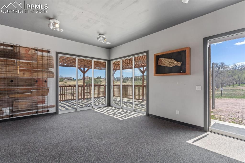 Image 41 of 50: Unfurnished room featuring a wealth of natural light, carpet flooring, and 