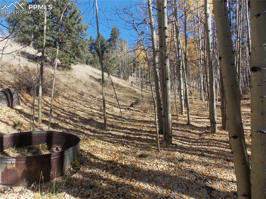 Image 10 of 24: Yard